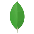 MongoDB Database Management Services